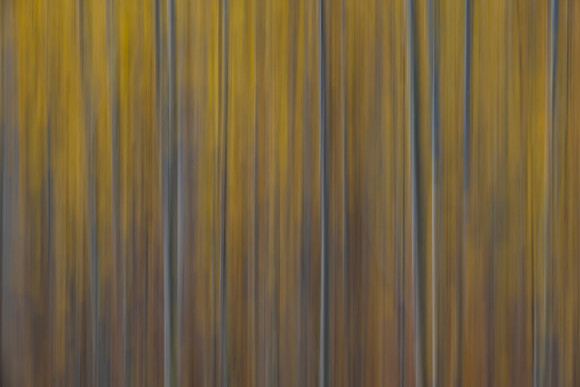 92