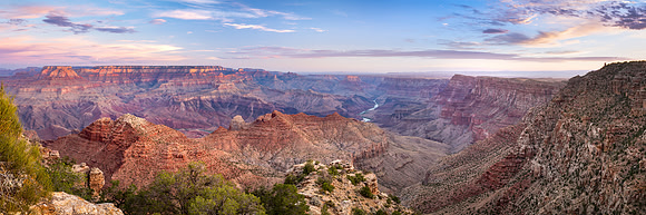 Arizona