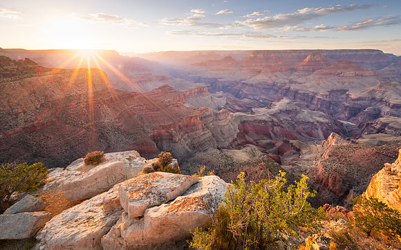 Arizona