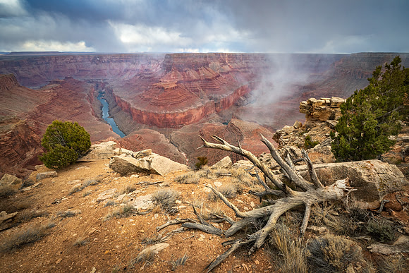 Arizona