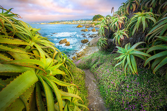 Monterey-3