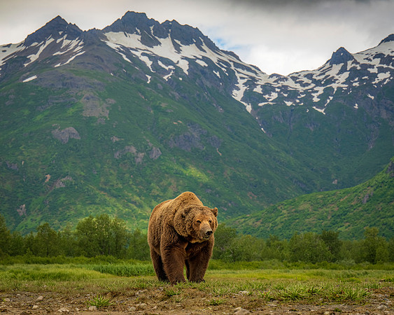 Katmai Day 3-4