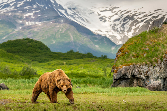 Katmai Day 3-2