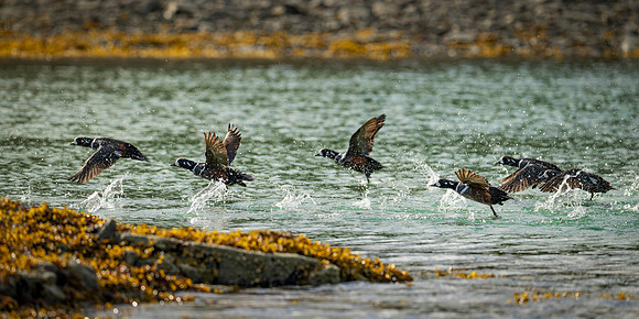 Katmai-4