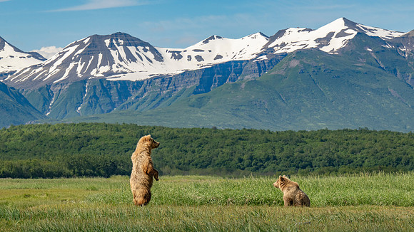 Katmai-6