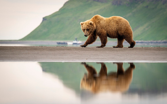 Katmai-8