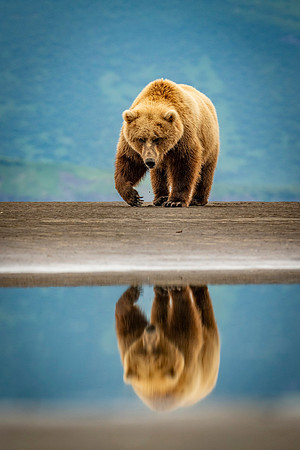 Katmai-9
