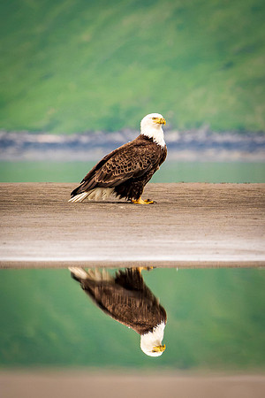 Katmai-7