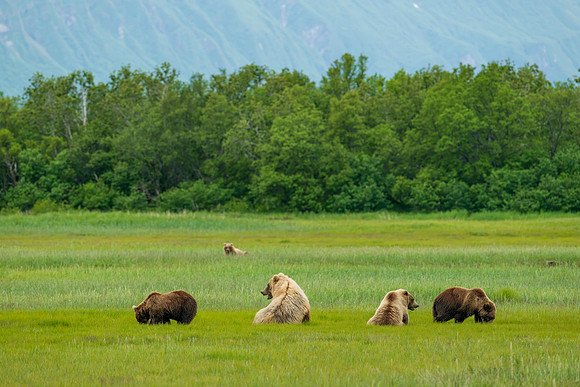 Katmai-11