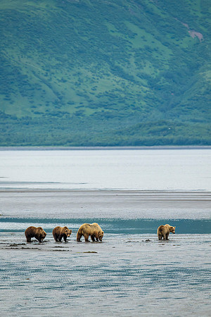 Katmai-12