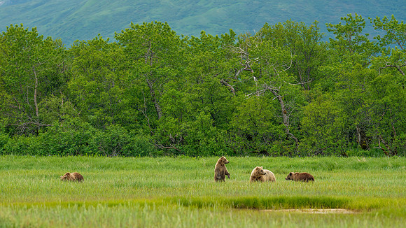 Katmai-10