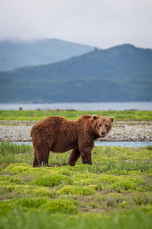 Katmai-14