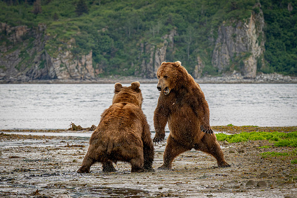 Katmai-13