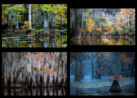 CoolFallReflections
