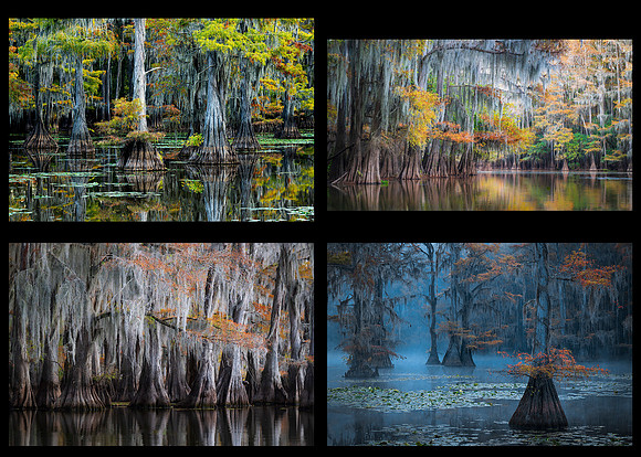 CoolFallReflections
