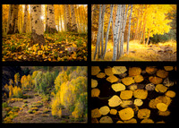 WarmFall