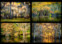 WarmFallReflections
