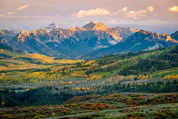 aspens-5