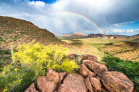 Arizona