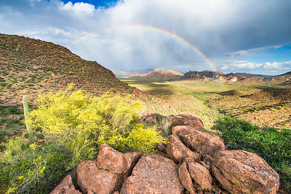 Arizona