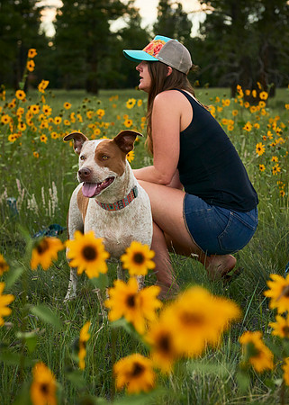 Sunflowers