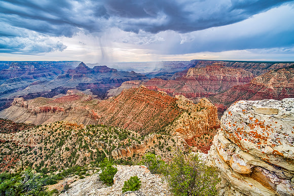 Arizona